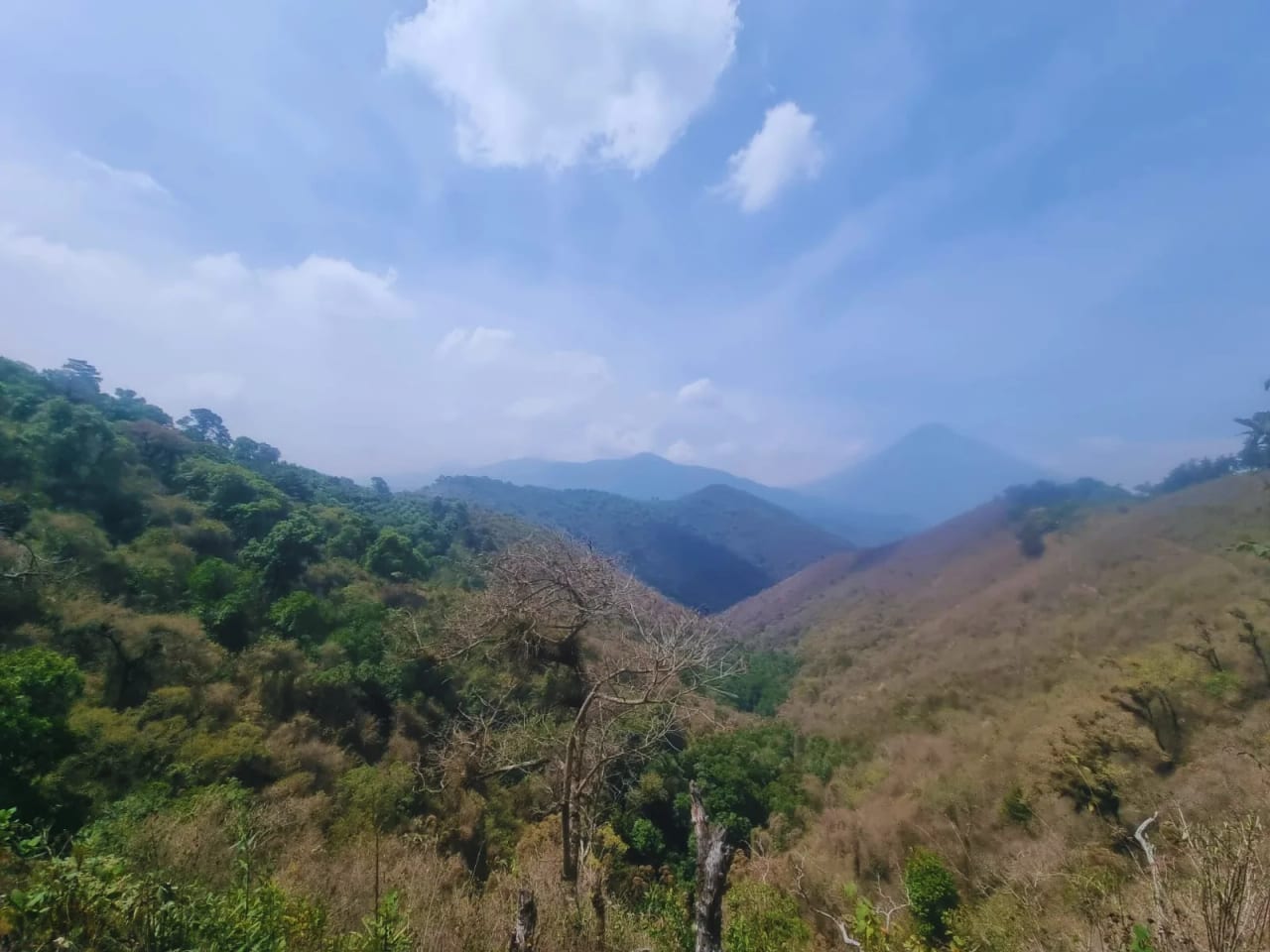 Terreno en Venta en El Hato — foto 5 de 5