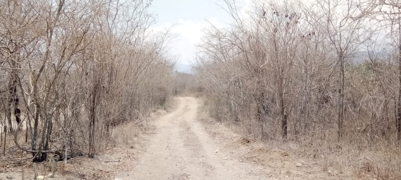 ¡OPORTUNIDAD DE INVERSIÓN! Terreno Industrial Ideal para Proyecto Solar en El Progreso — foto 4 de 14