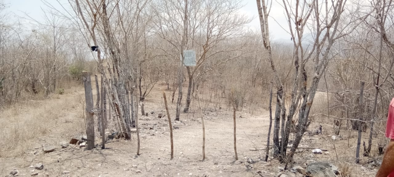 ¡OPORTUNIDAD DE INVERSIÓN! Terreno Industrial Ideal para Proyecto Solar en El Progreso — foto 6 de 14