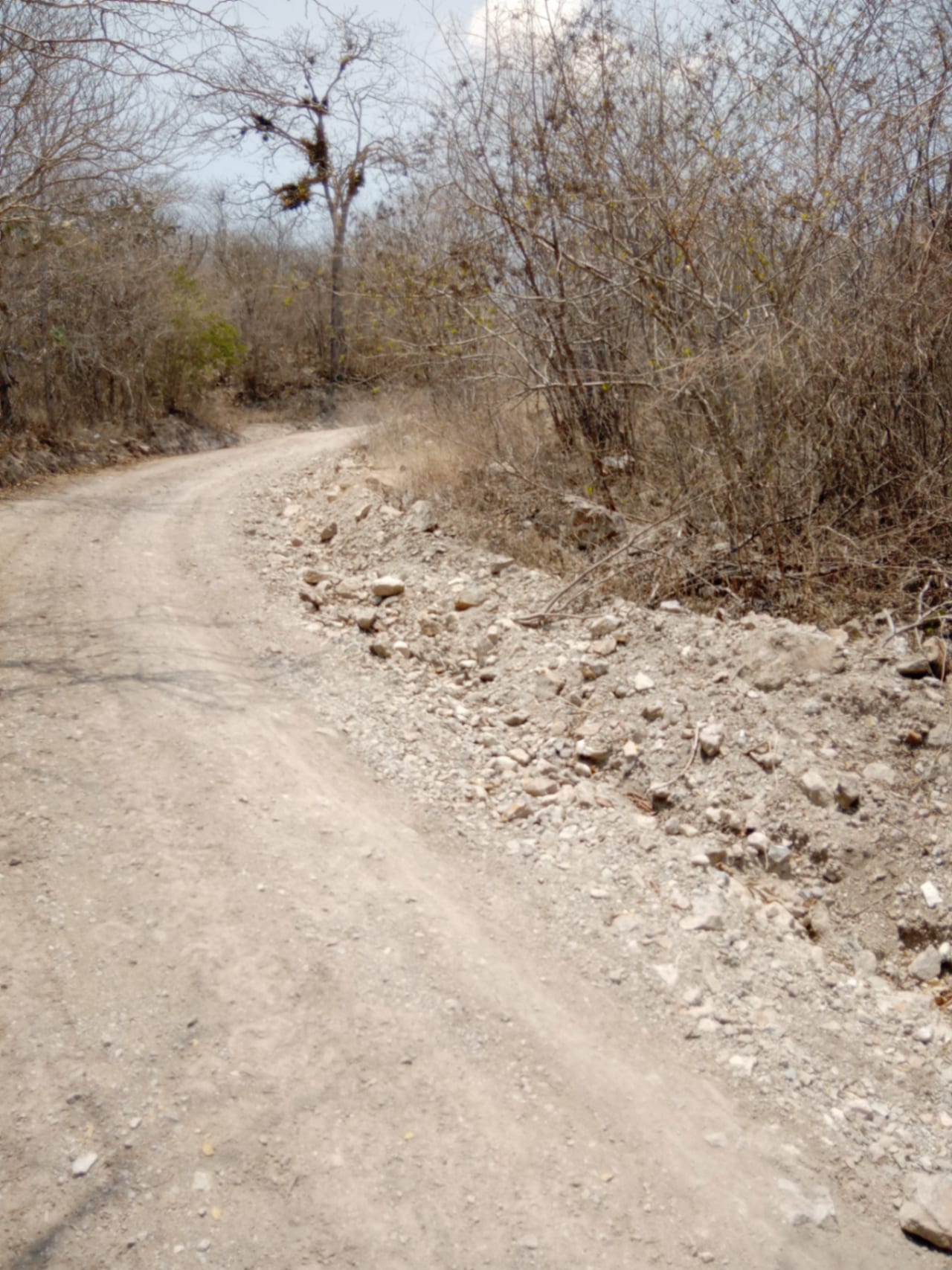 ¡OPORTUNIDAD DE INVERSIÓN! Terreno Industrial Ideal para Proyecto Solar en El Progreso — foto 11 de 14