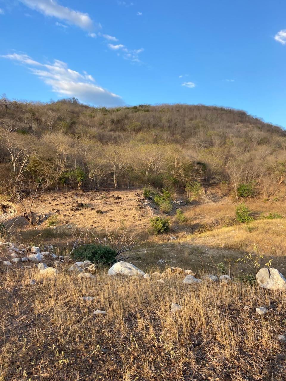 Oportunidad de Inversión: Terreno Comercial en Alquiler a Largo Plazo — foto 7 de 10