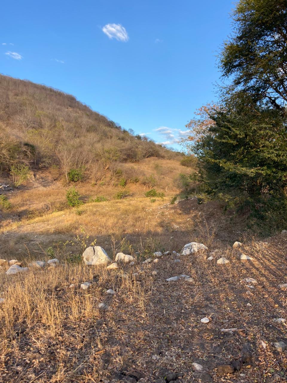 Oportunidad de Inversión: Terreno Comercial en Alquiler a Largo Plazo — foto 8 de 10
