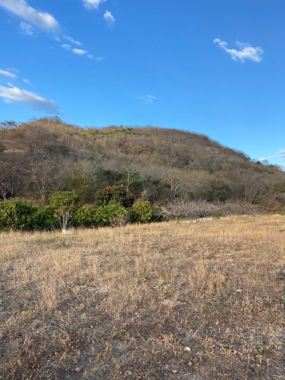 Oportunidad de Inversión: Terreno Comercial en Alquiler a Largo Plazo — foto 9 de 10