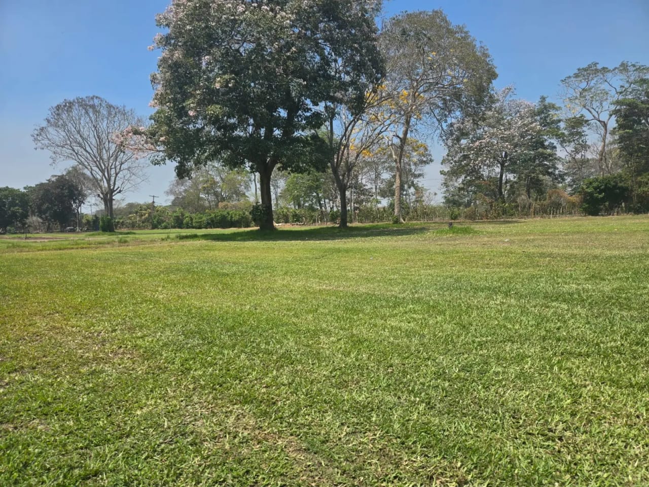 Para inversión terreno carretera vieja a Puerto de San José — foto 10 de 17