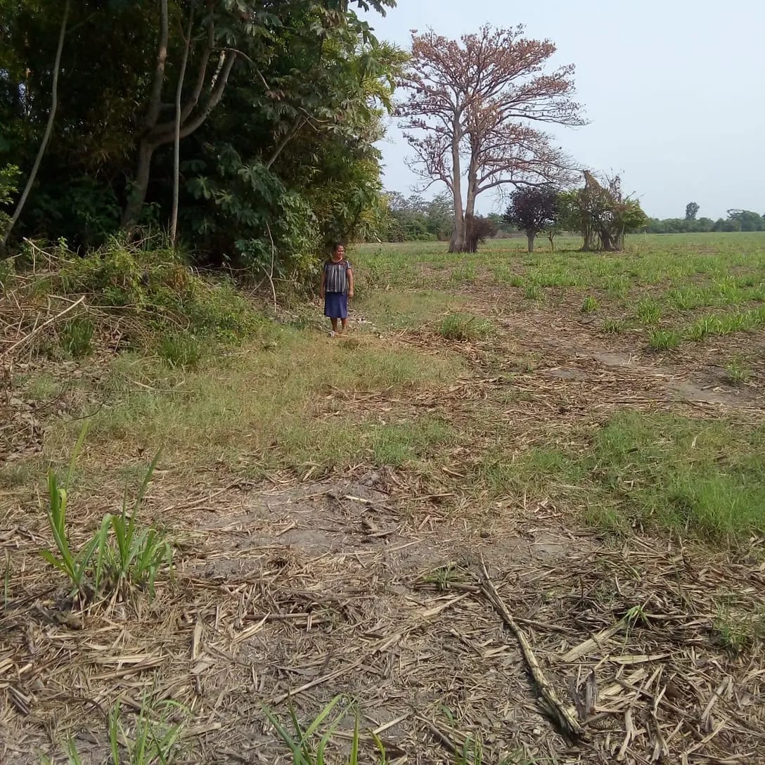 Para invertir terreno en venta — foto 5 de 5