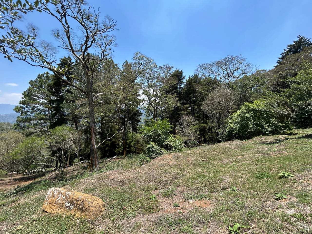 Terreno en Venta Club Ecuestre El Pulté — foto 2 de 15