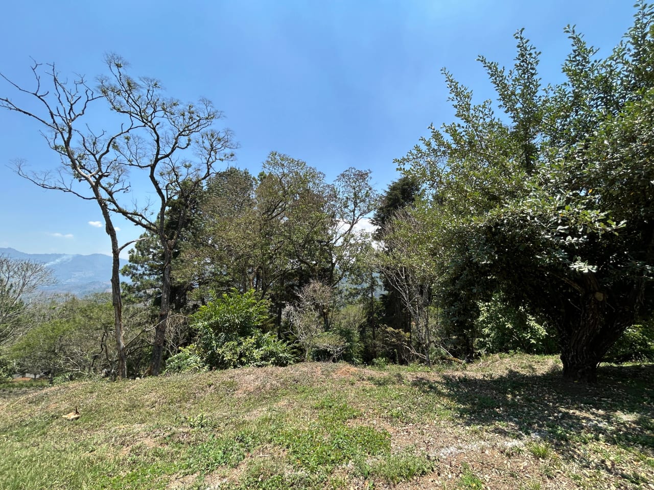 Terreno en Venta Club Ecuestre El Pulté — foto 3 de 15