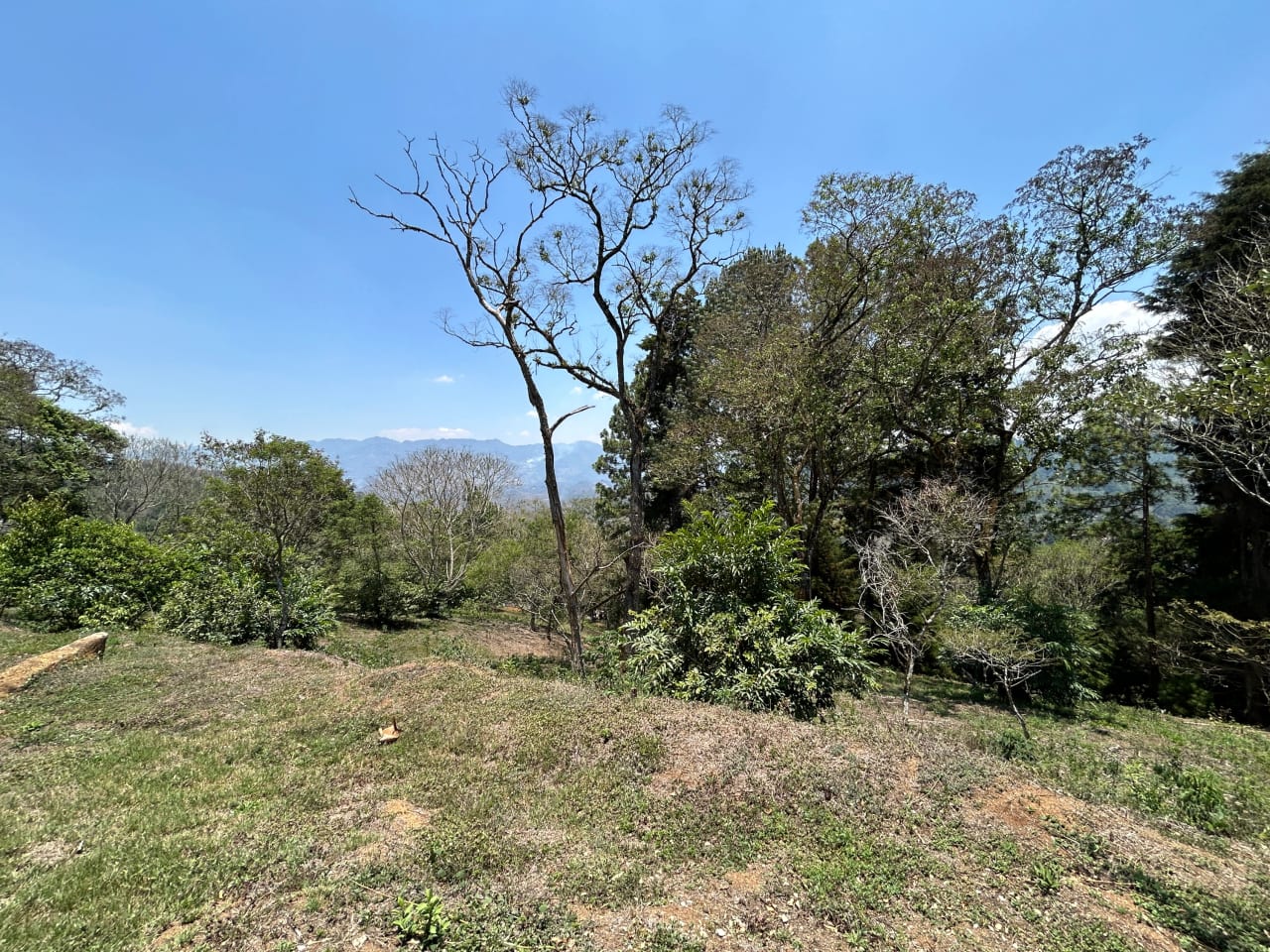 Terreno en Venta Club Ecuestre El Pulté — foto 6 de 15