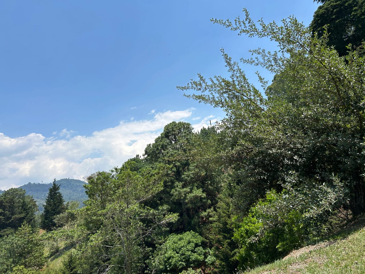 Terreno en Venta Club Ecuestre El Pulté — foto 8 de 15