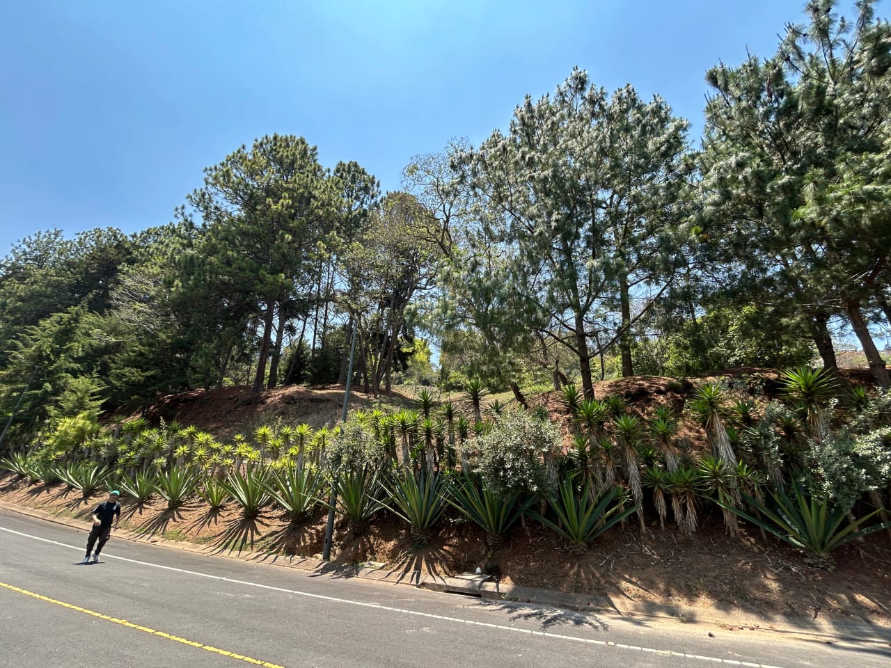 Terreno en Venta Club Ecuestre El Pulté — foto 9 de 15