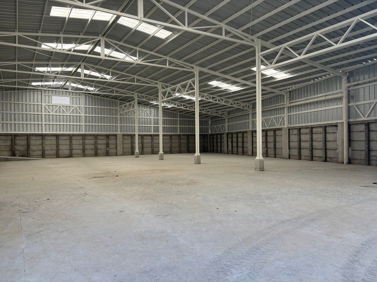 Bodegas en Renta en Cocales: Precio Competitivo y Conectividad Estratégica — foto 4 de 6