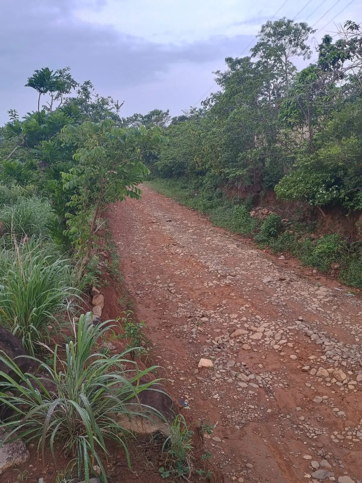 Terreno Agrícola en Venta en Pueblo Nuevo Viñas, Santa Rosa, Guatemala — foto 3 de 7