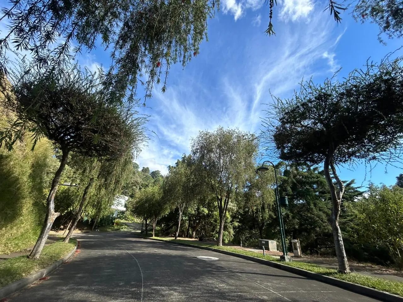 Amplio Terreno en Venta en Las Tinajas — foto 6 de 8