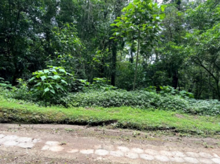 Terreno en Venta Granjas Jardín El Alto Santiago Sacatepequez — foto 2 de 13