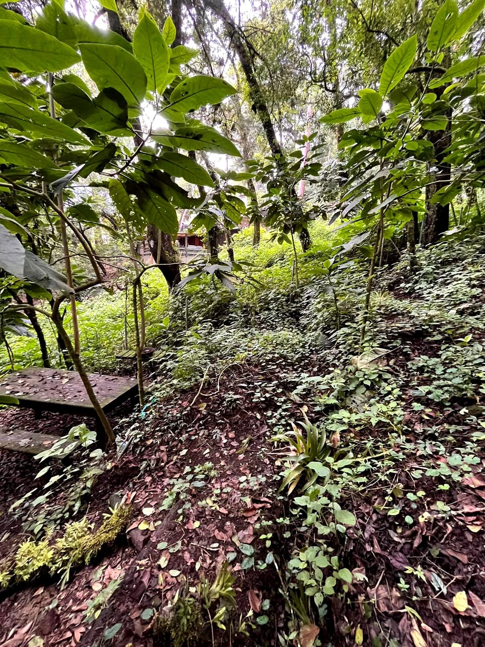 Terreno en Venta Granjas Jardín El Alto Santiago Sacatepequez — foto 5 de 13
