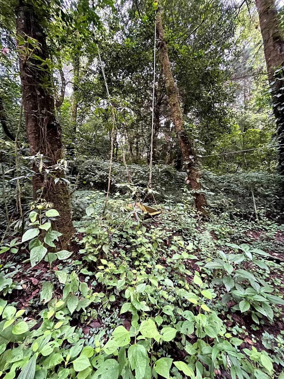 Terreno en Venta Granjas Jardín El Alto Santiago Sacatepequez — foto 8 de 13