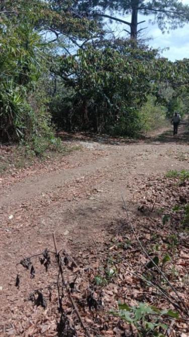🔥 PRECIO DE REMATE 🔥 ¡Tu refugio natural listo para construir! Terreno en Bosque Nevado 🌲🏡 — foto 2 de 5