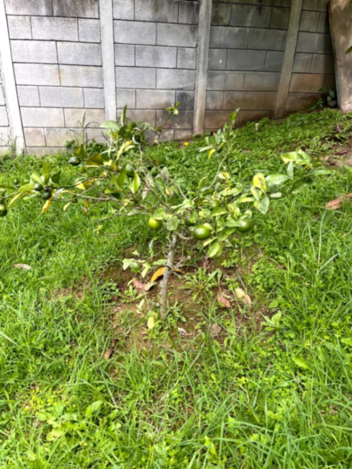 Terreno en venta Santiago Sacatepequez — foto 4 de 15