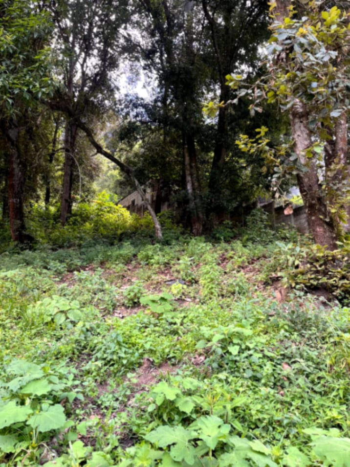 Terreno en venta Santiago Sacatepequez — foto 6 de 15