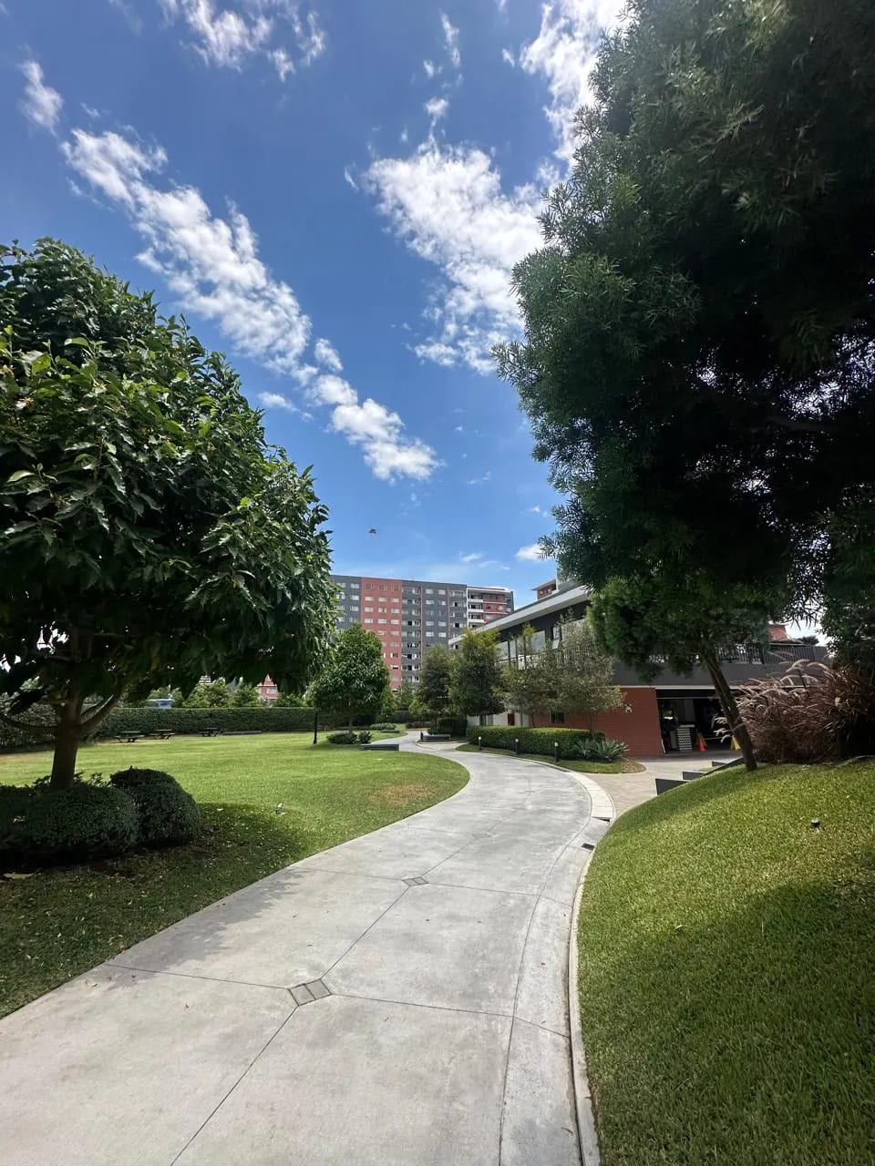 Apartamento en Renta – 3 Dormitorios en Segheria, Zona 14 — foto 10 de 17
