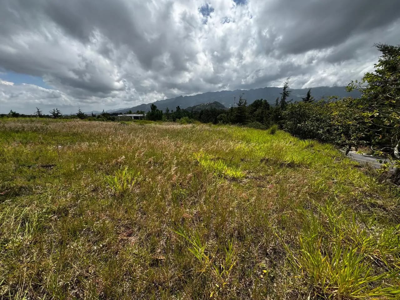 Terreno en venta en el Pulté Golf — foto 2 de 3