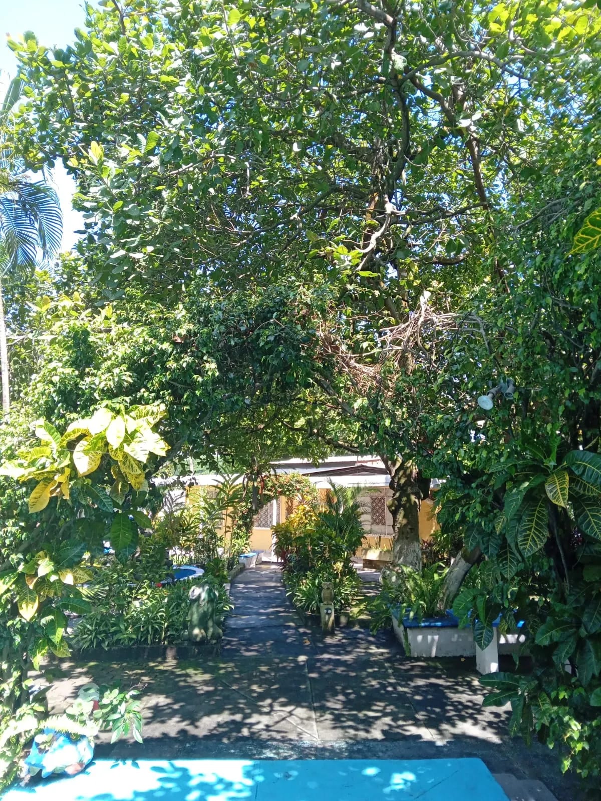 Granja en venta, Masagua, Escuintla — foto 8 de 15