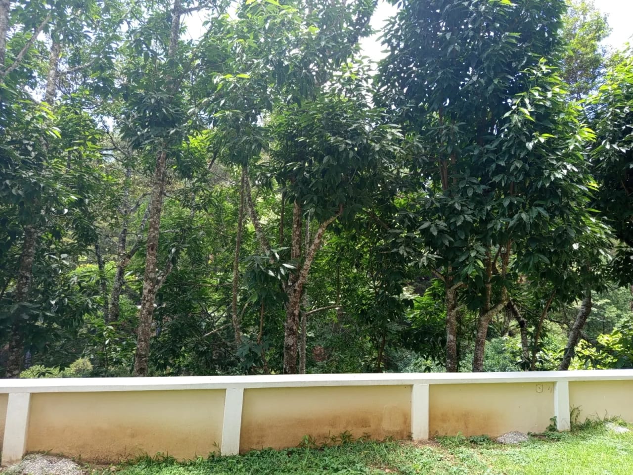 Apartamento en Renta y Venta en zona 16 Colonia La Montaña — foto 12 de 14