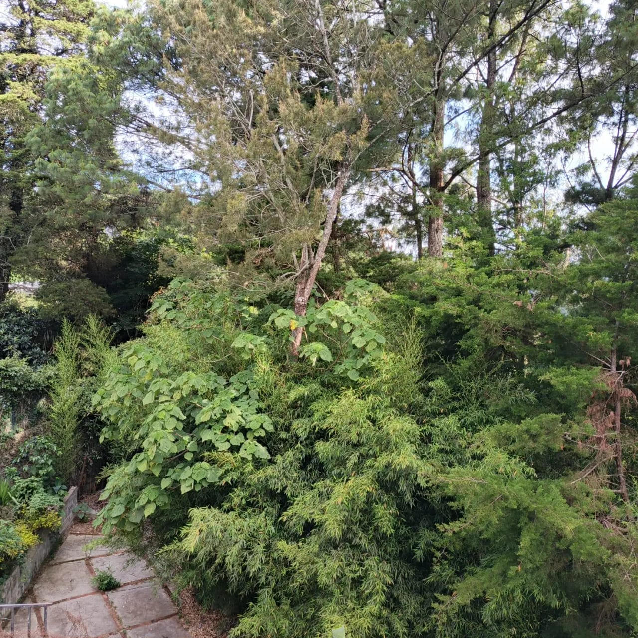 Terreno amplio con casa en CAES — foto 10 de 17