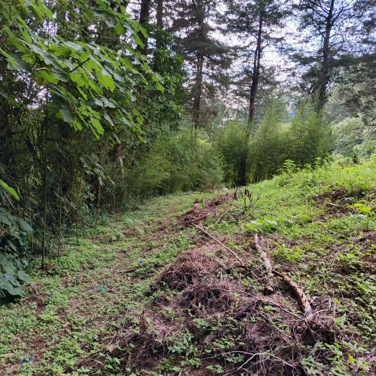 Terreno amplio con casa en CAES — foto 12 de 17