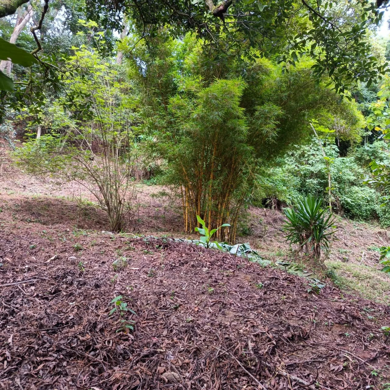 Terreno amplio con casa en CAES — foto 13 de 17