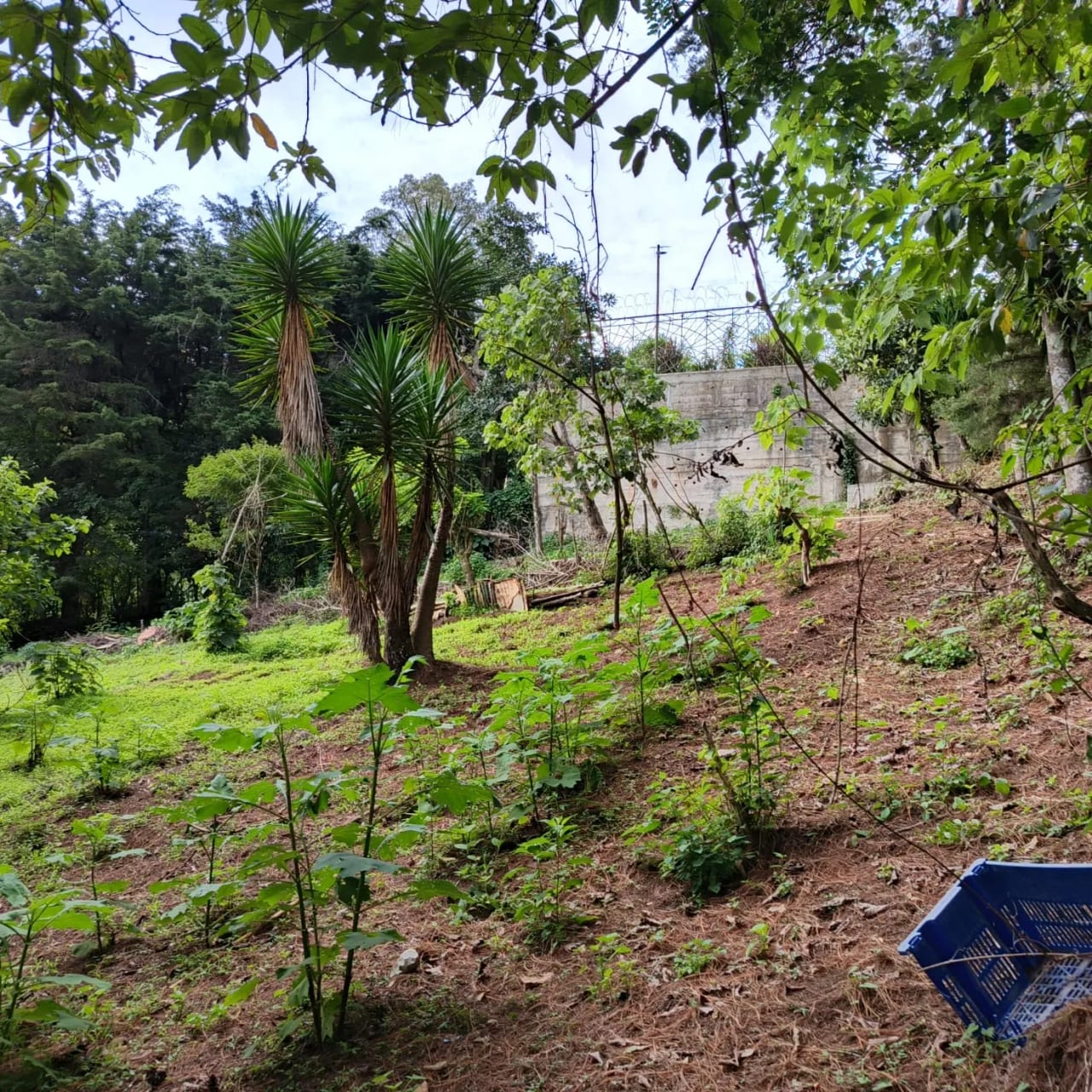 Terreno amplio con casa en CAES — foto 16 de 17