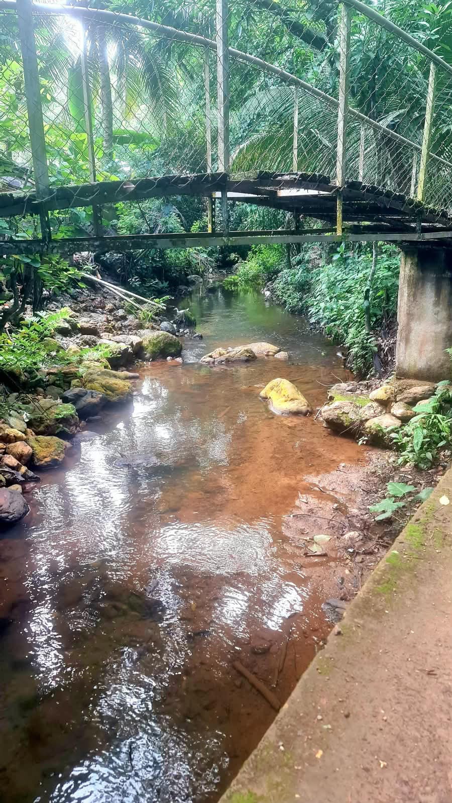 Casa en Venta en Los Amates Izabal — foto 8 de 17