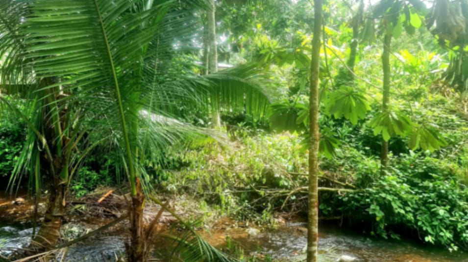 Casa en Venta en Los Amates Izabal — foto 9 de 17