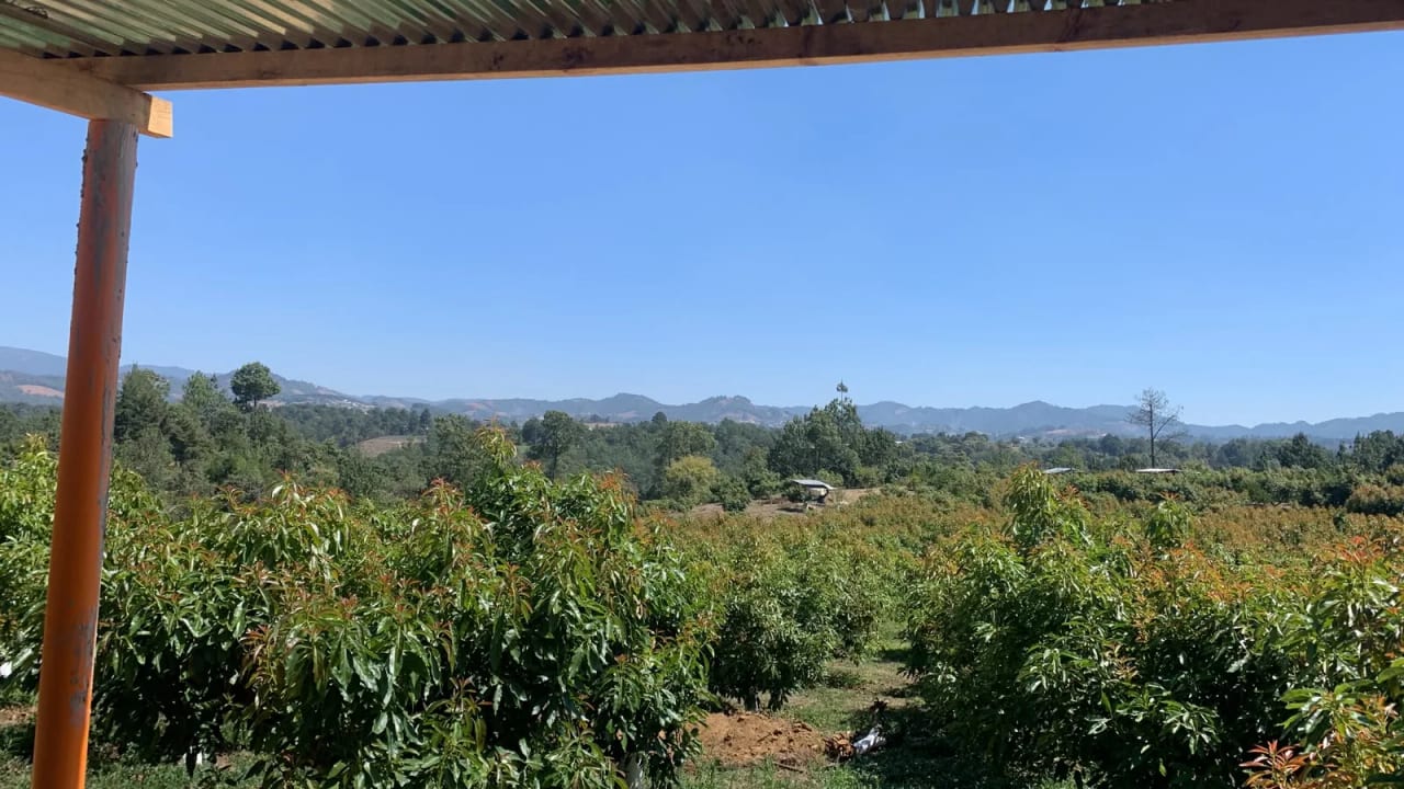 Finca En venta en Santa Cruz Balanyá, Chimaltenango. — foto 3 de 5