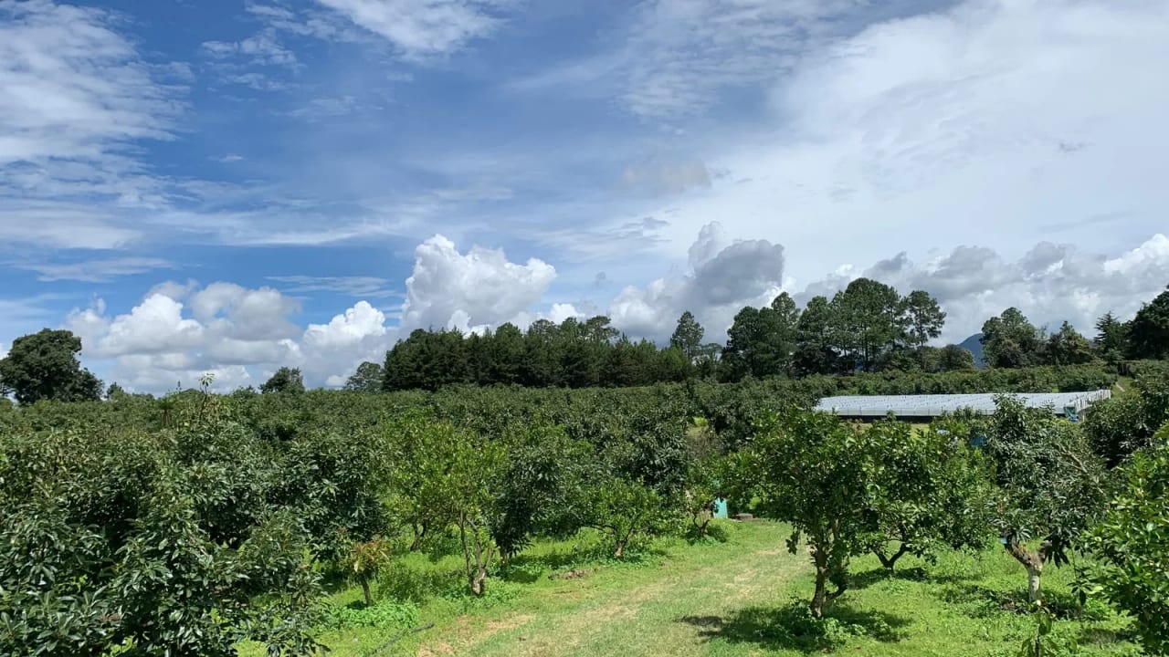 Finca En venta en Santa Cruz Balanyá, Chimaltenango. — foto 2 de 5