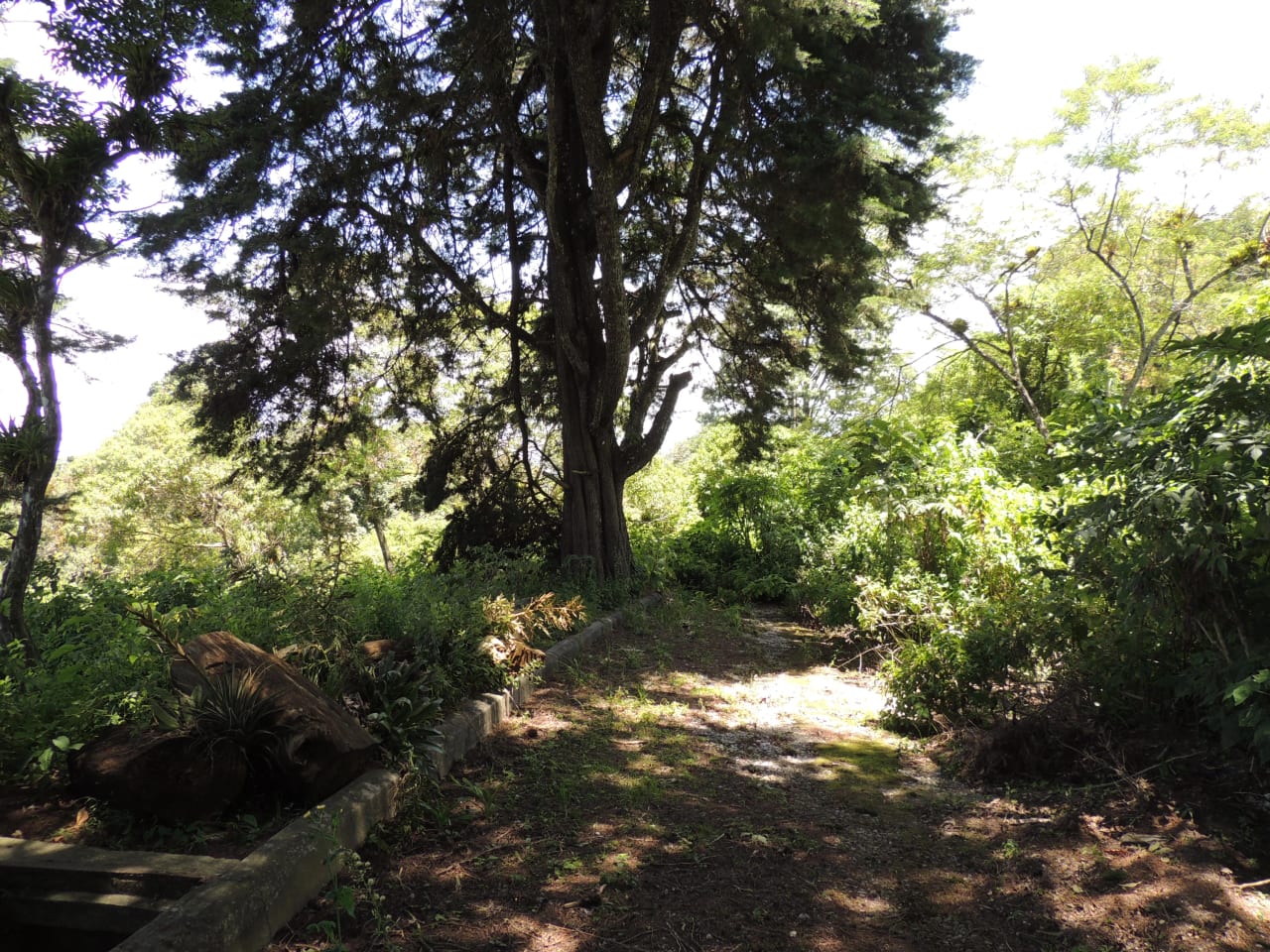 Terreno en Venta en Condominio Finca San Vicente — foto 3 de 7