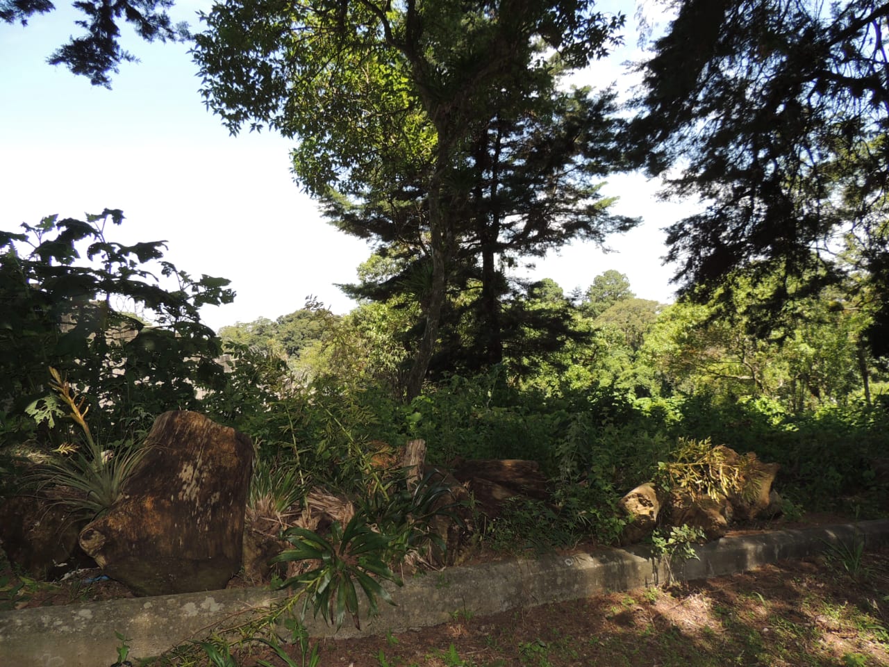 Terreno en Venta en Condominio Finca San Vicente — foto 4 de 7
