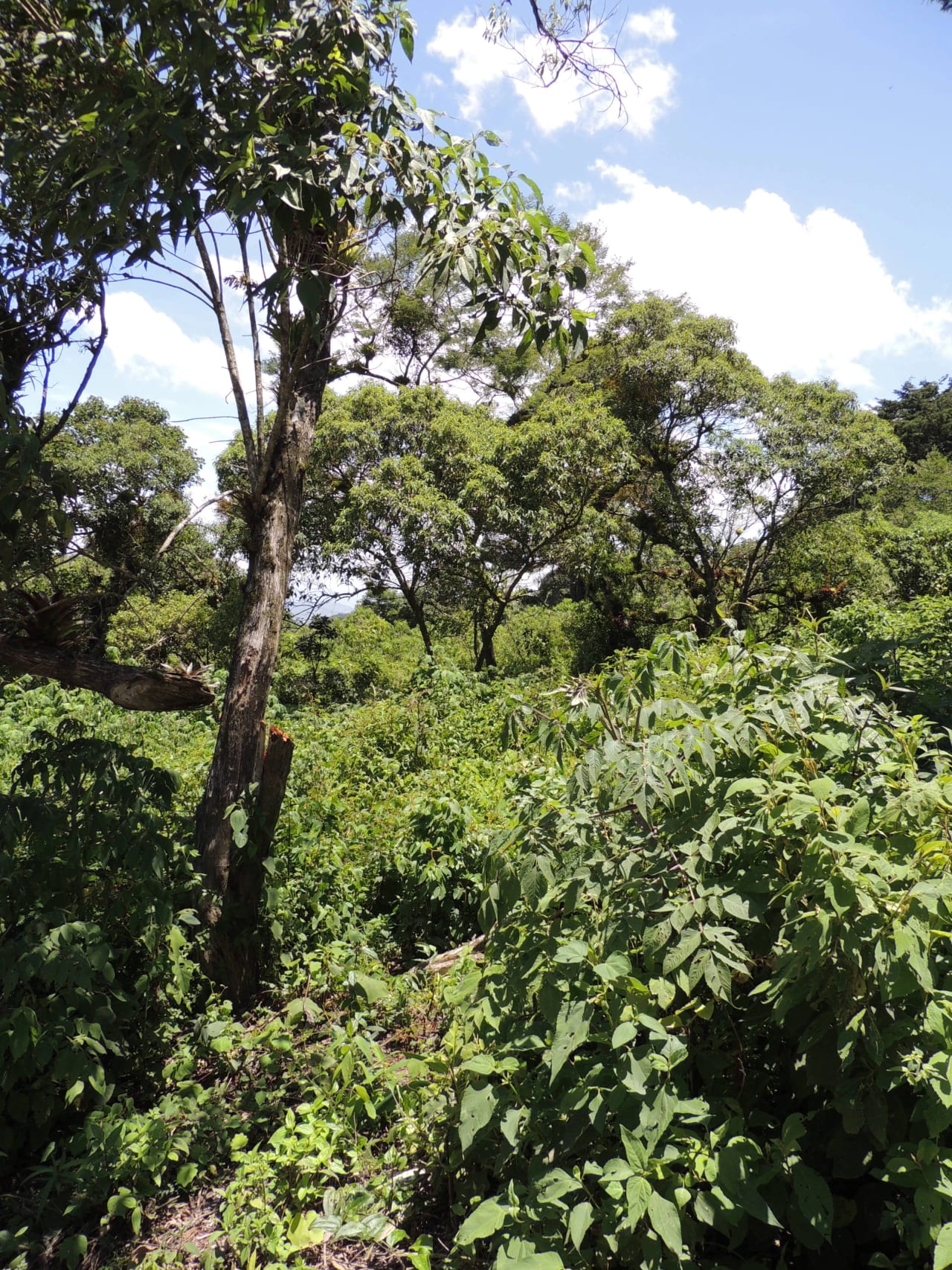Terreno en Venta en Condominio Finca San Vicente — foto 6 de 7
