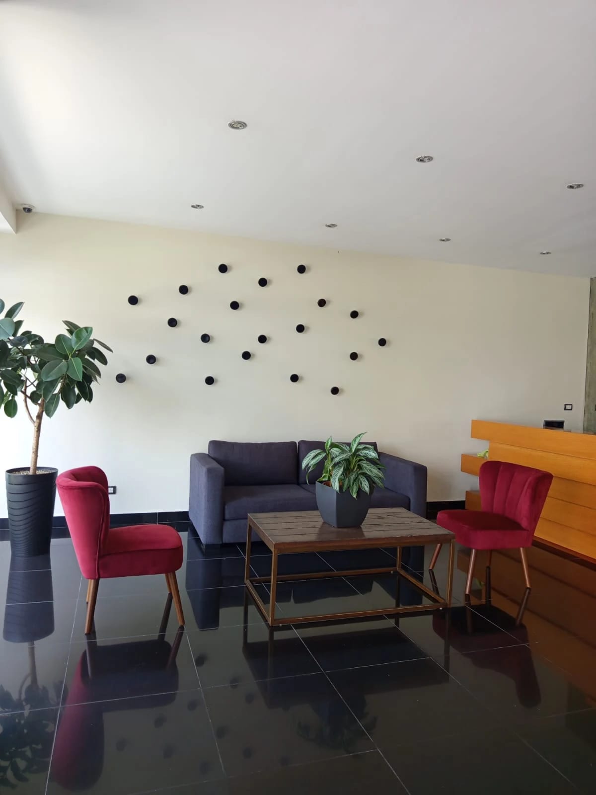 Apartamentos Amueblados, Equipados en Renta 1 Habitación Zona 15 — foto 4 de 17