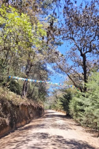 TERRENO EN VENTA EN HACIENDA LAS LLANURAS, KM 43.8 SUMPANCO, SACATEPEQUEZ — miniatura 7 de 15